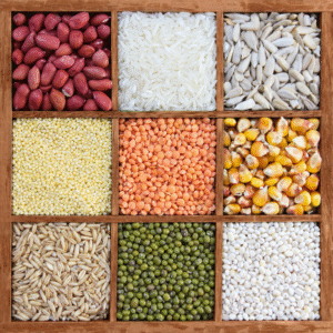 Agriculture