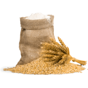 Wheat