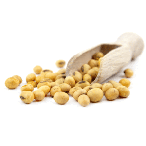 Soyabean